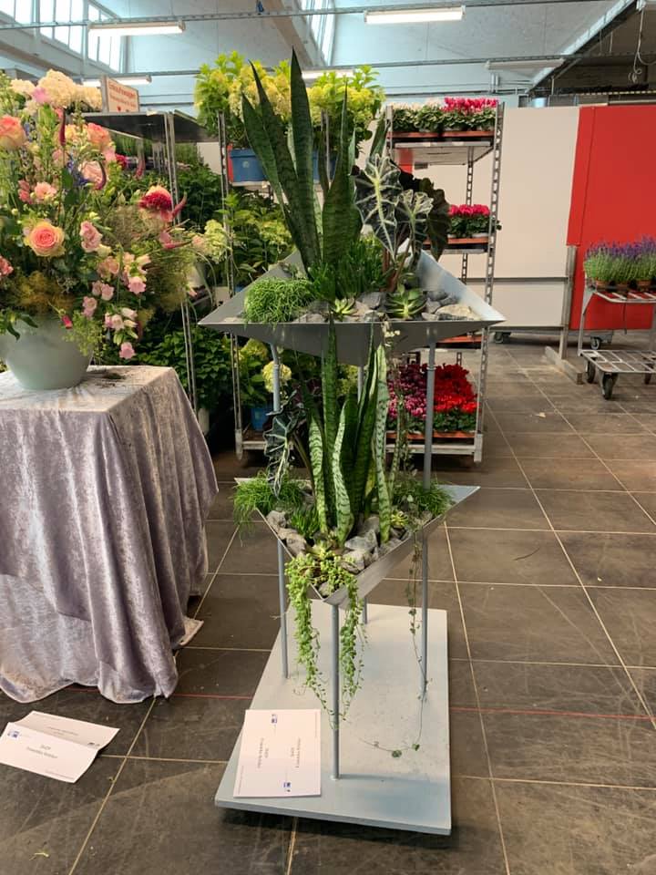 66747575 2565324660145060 5012457229362659328 n