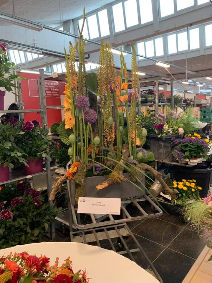 66748098 2565324420145084 6716317308836380672 n