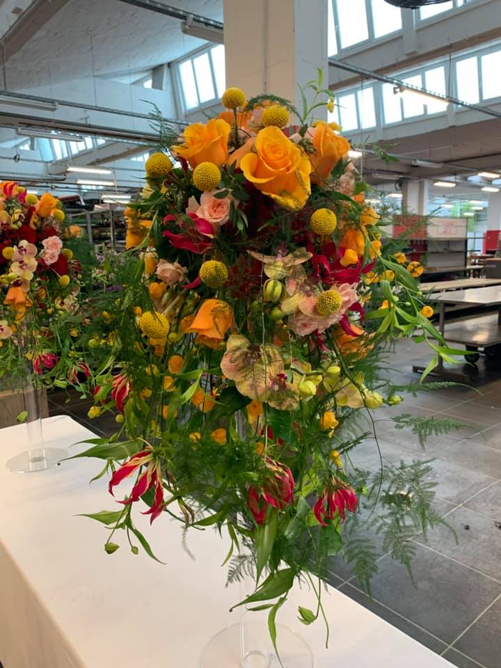 66763805 2565324796811713 5363083099389296640 n