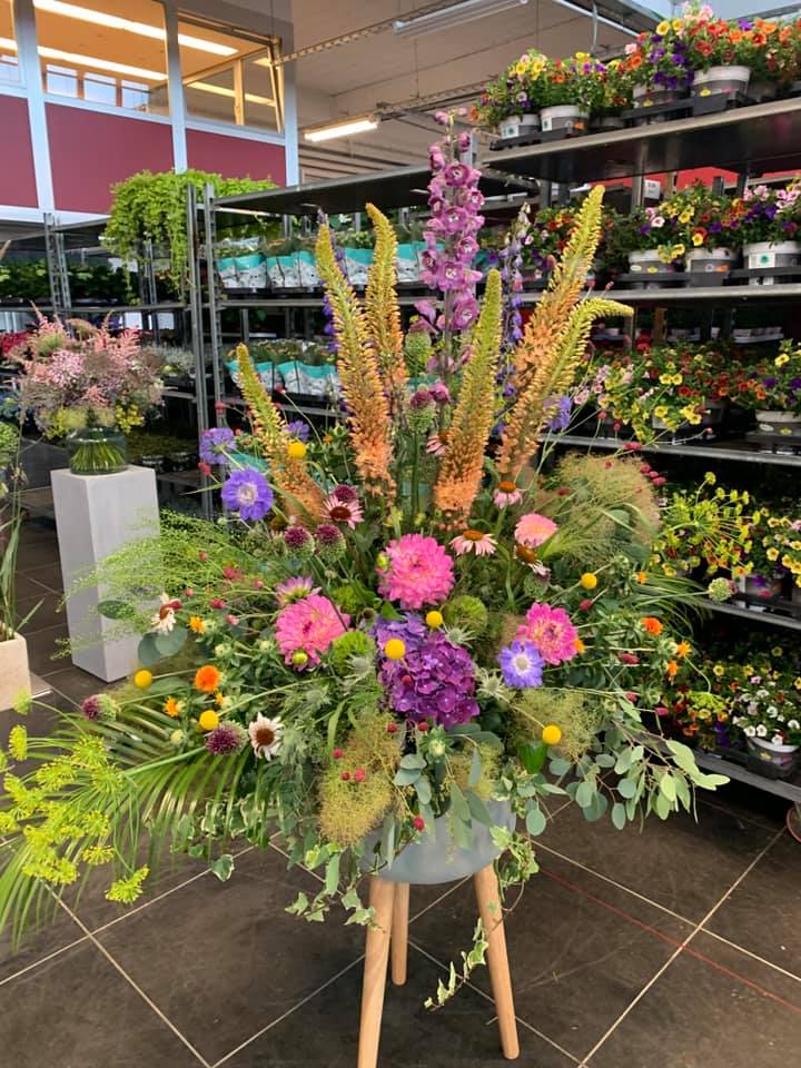 66791661 2565324496811743 368342459798781952 n