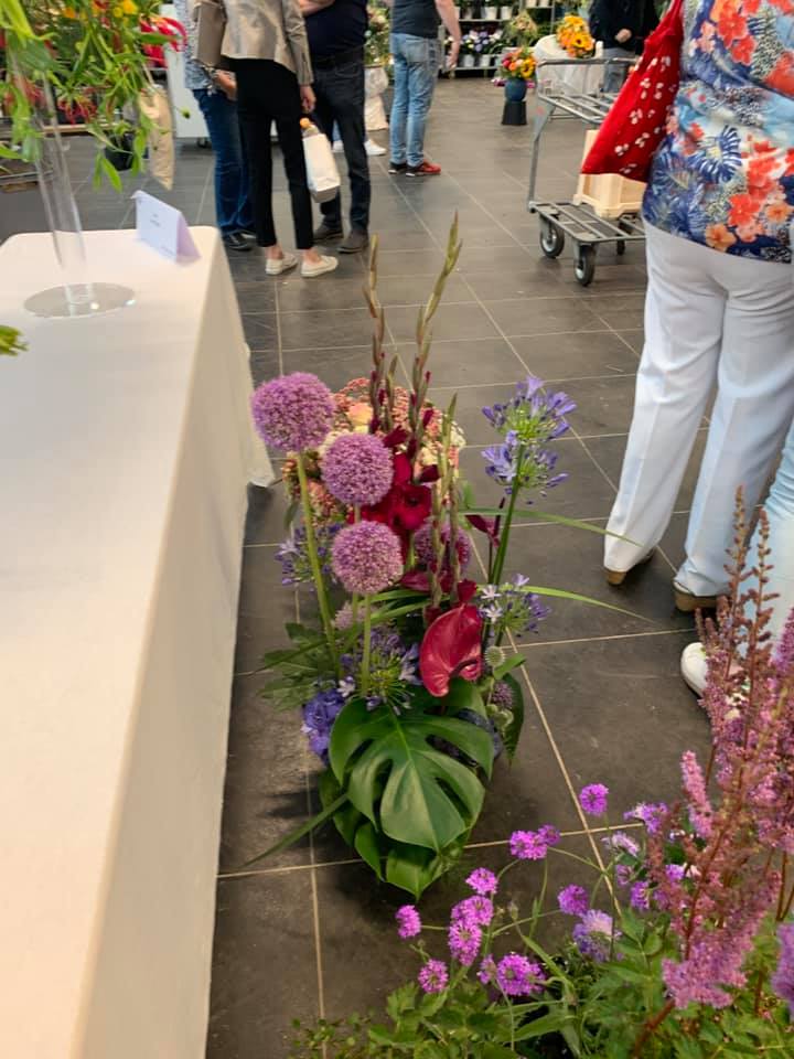 66793616 2565324876811705 1812786763702206464 n