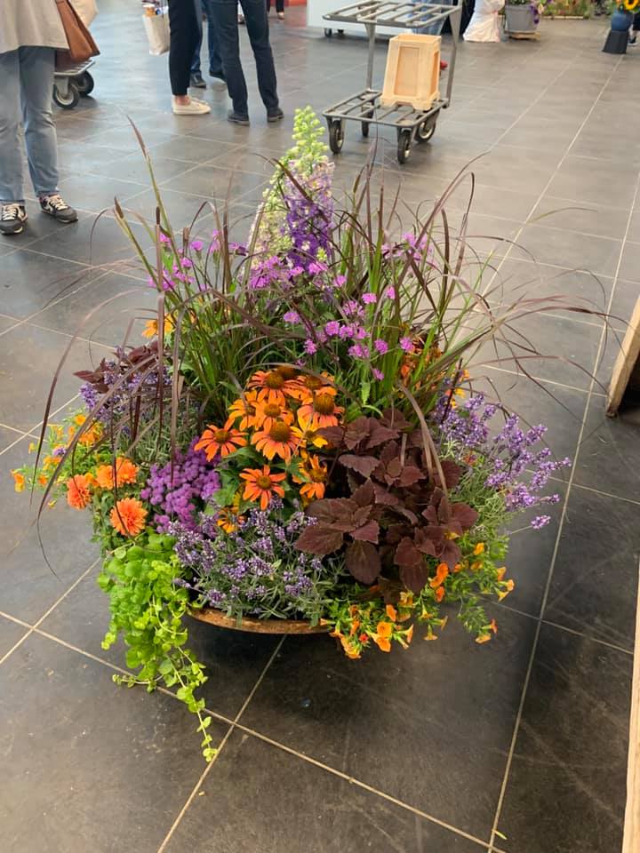 66810337 2565324516811741 5087527017109258240 n