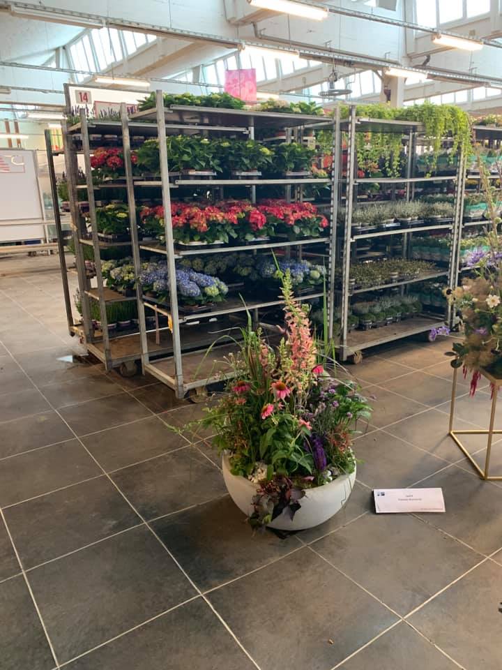 66856962 2565324556811737 5830168128633438208 n