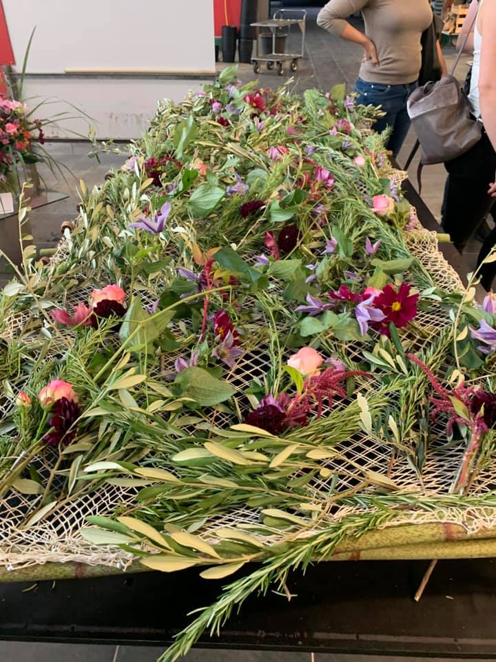 66895655 2565324723478387 6614663047917076480 n