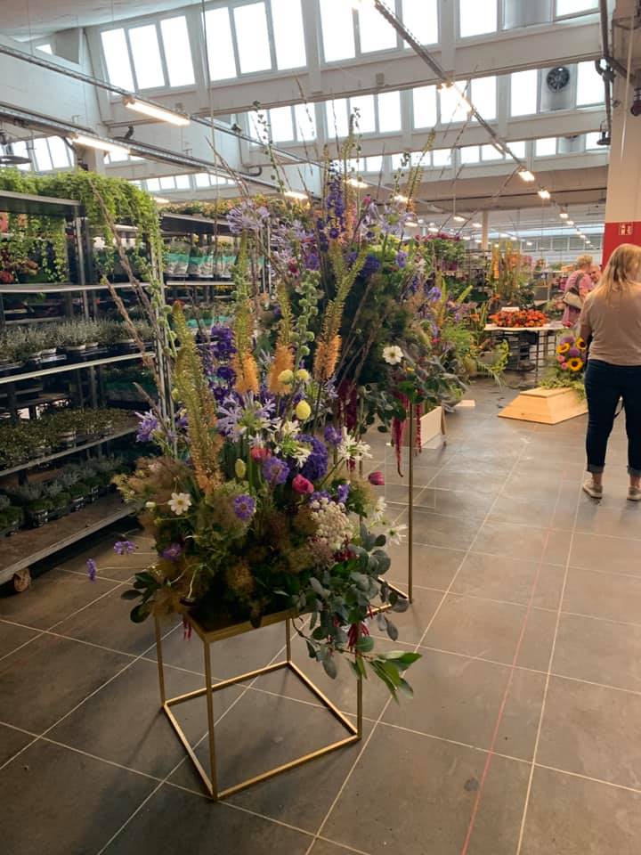 67165344 2565324580145068 1250153894831456256 n