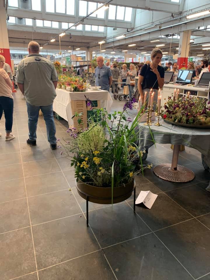 67204189 2565324610145065 3066989309455237120 n