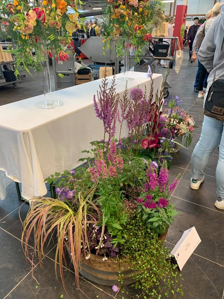 67219535 2565324860145040 145997453198360576 n