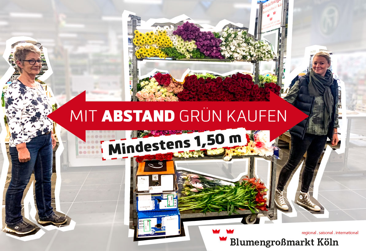 mit abstand gruen kaufen