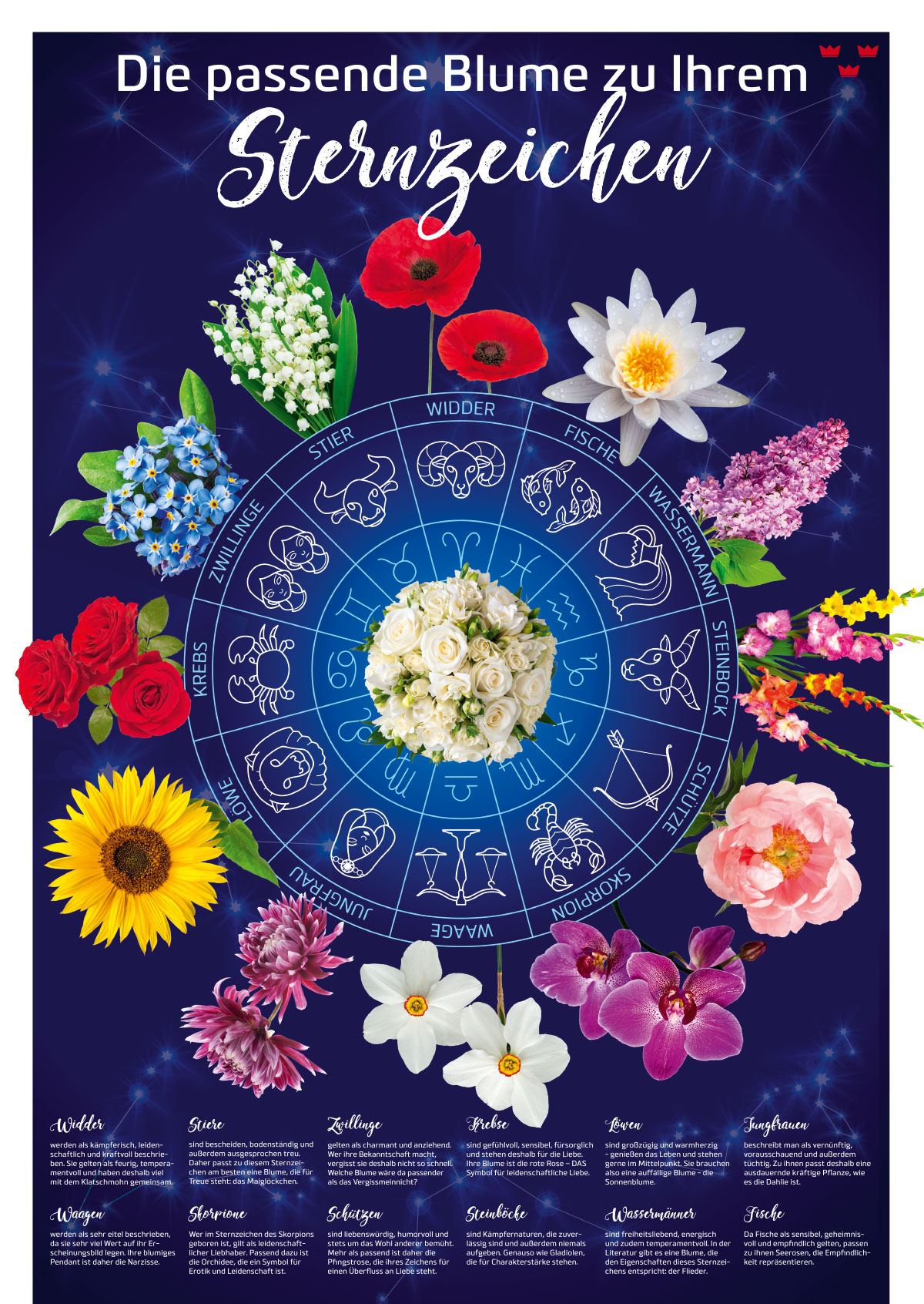 plakat sternzeichen 1200px