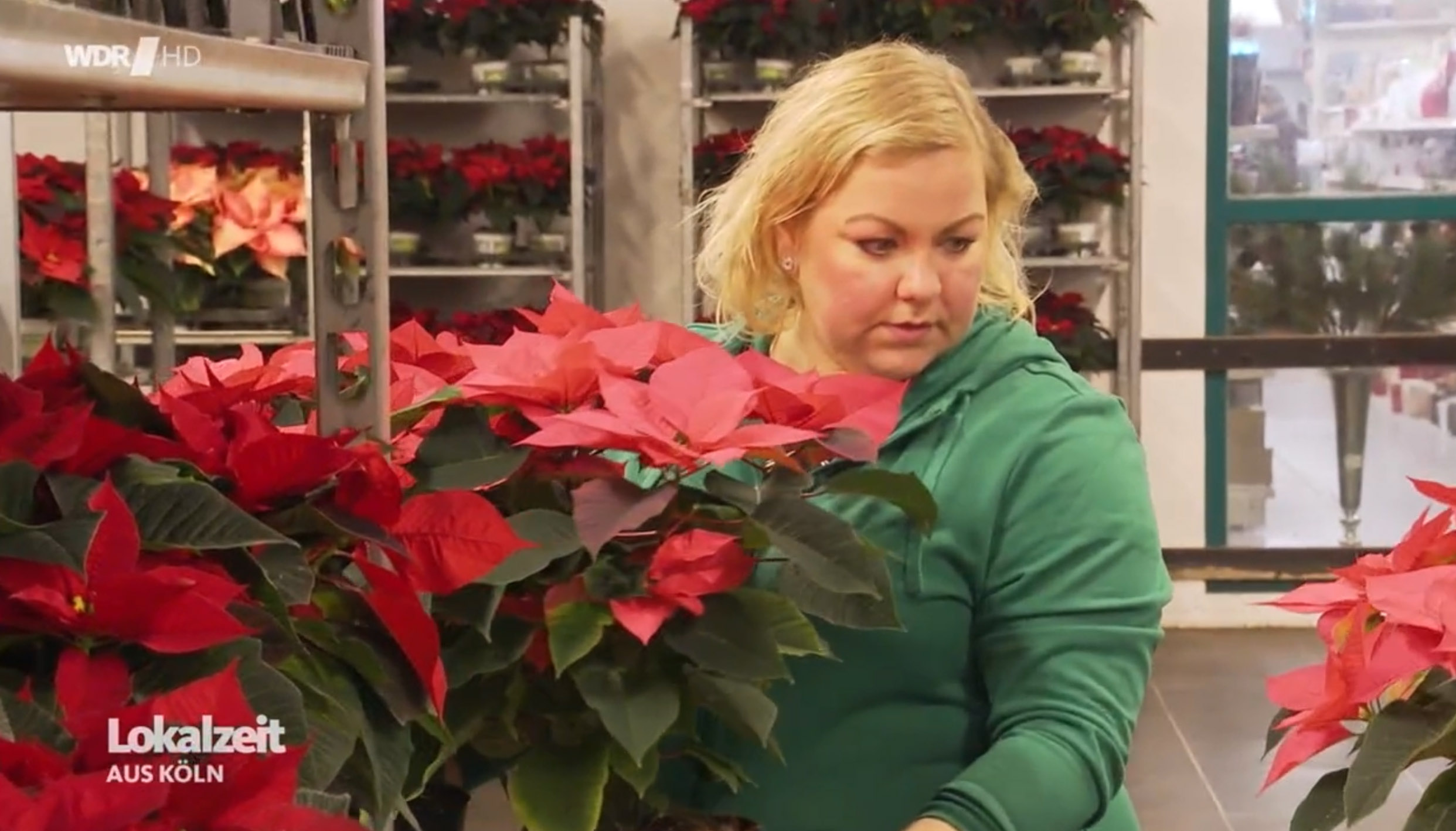 wdr lokalzeit 26 11 2024