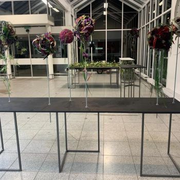 144375385 4011763265501185 8099078919328741637 n