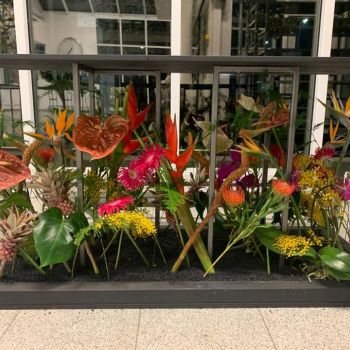 144413150 4011763062167872 2567549534042528391 n