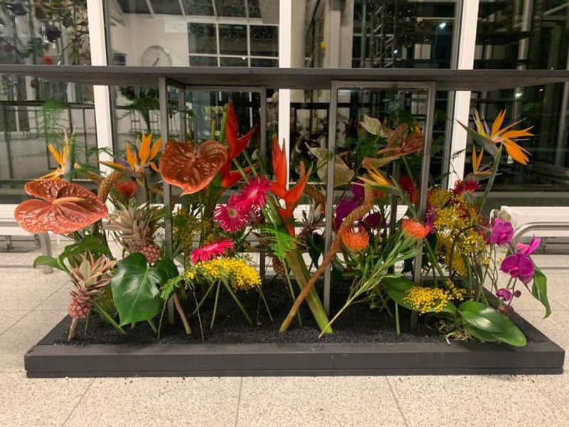 144413150 4011763062167872 2567549534042528391 n