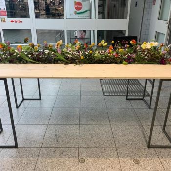 144930679 4011763335501178 5553259760413188199 n