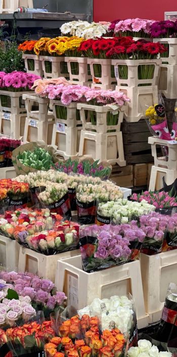 176107551 6643683663084639540 n 397