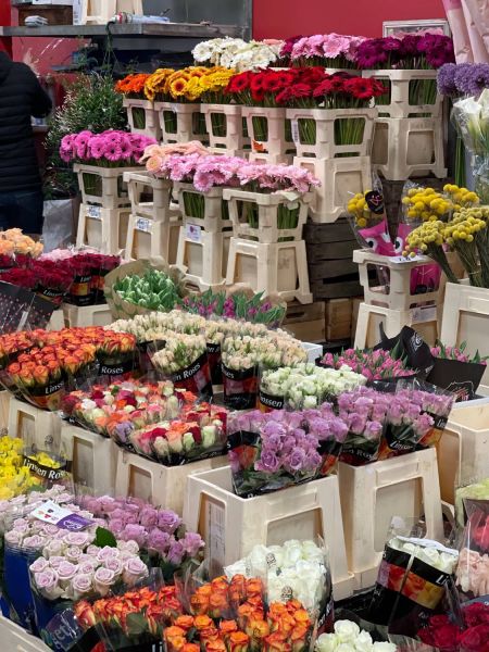 176107551 6643683663084639540 n 397