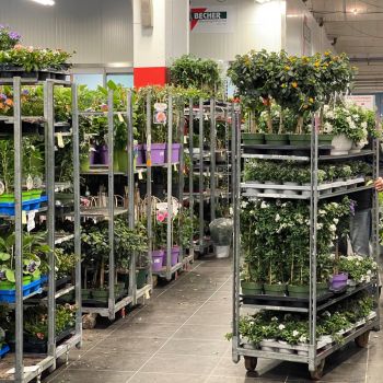 176143524 3853340547357267546 n 399