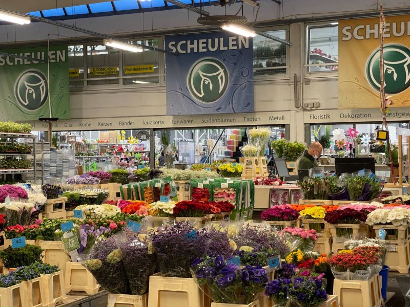 176159583 4427462093229348219 n 400