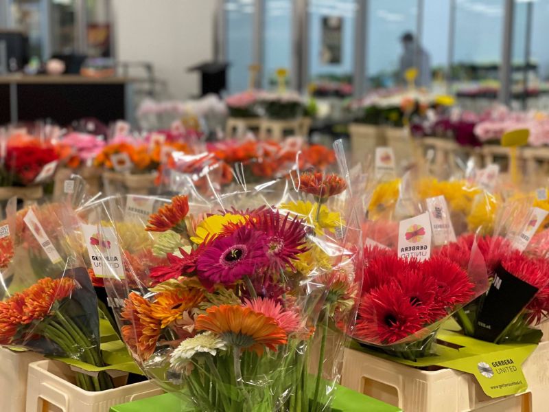 176162543 2536376147234442648 n 401