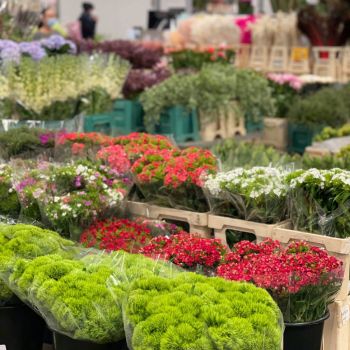 176244110 6114442296979716531 n 403