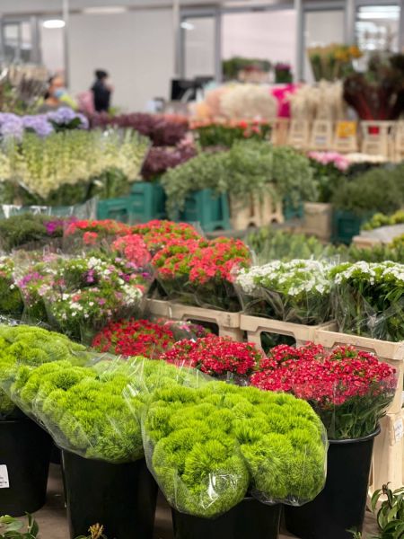 176244110 6114442296979716531 n 403