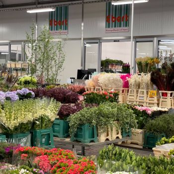 176263017 3245763758617637740 n 404