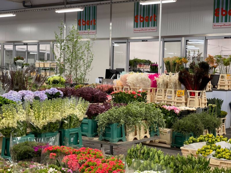 176263017 3245763758617637740 n 404