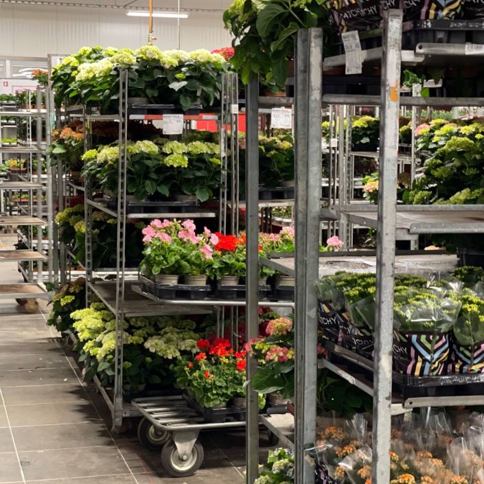 176271763 6694286538388652121 n 405