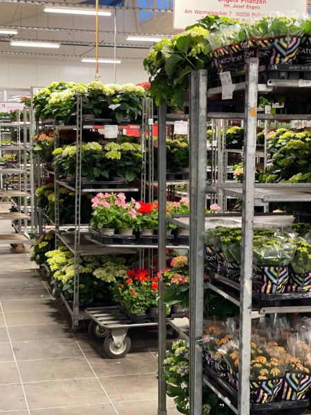 176271763 6694286538388652121 n 405