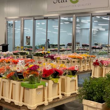 176339931 6411566766034985733 n 408