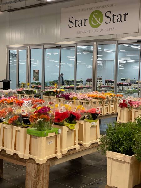 176339931 6411566766034985733 n 408