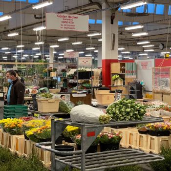 176342546 5626692732736728789 n 409