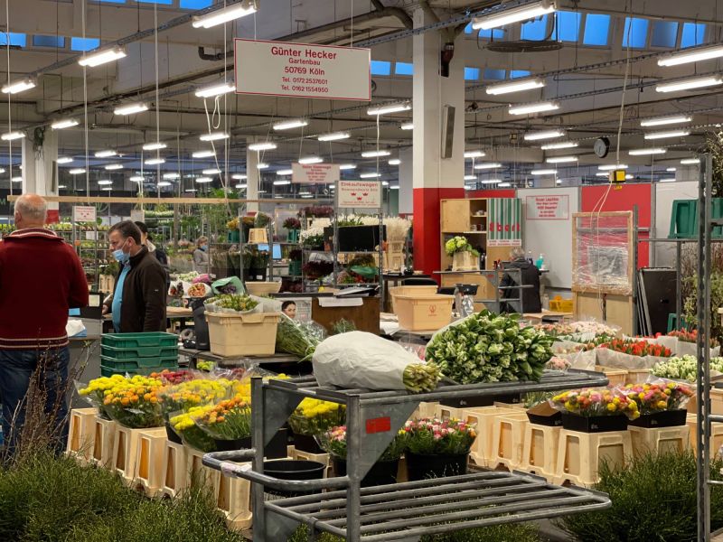 176342546 5626692732736728789 n 409