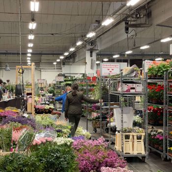 176342727 3806761537120459189 n 410