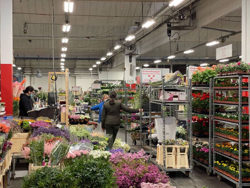 176342727 3806761537120459189 n 410