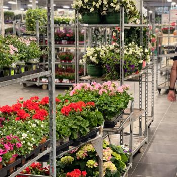 176409769 401200698485451088 n 411