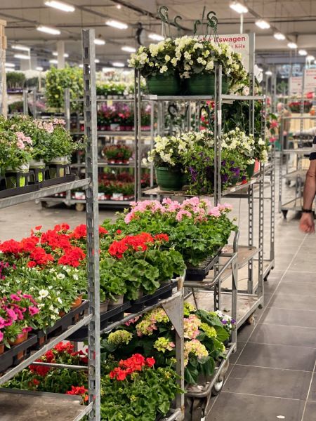 176409769 401200698485451088 n 411