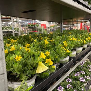 176421602 4719730314828820998 n 412