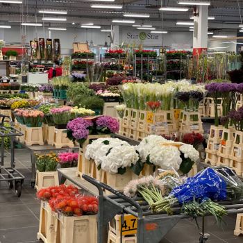 176499693 3044060674800547845 n 415