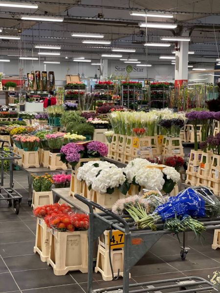 176499693 3044060674800547845 n 415