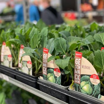 176546165 636387525116202776 n 416