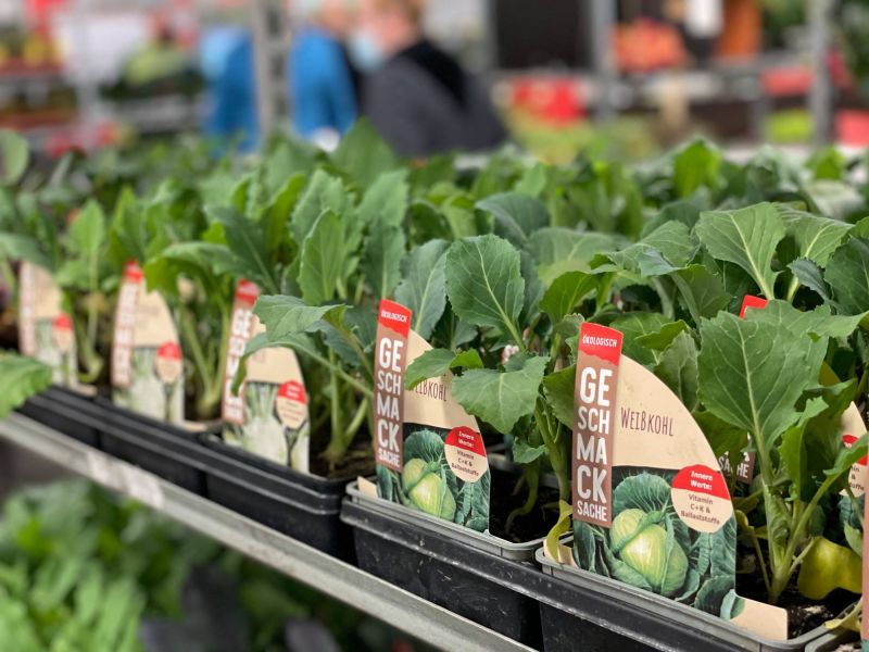 176546165 636387525116202776 n 416