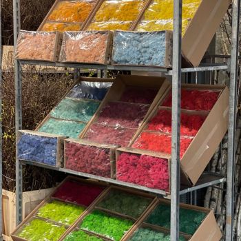 176550966 5123137212593822546 n 418