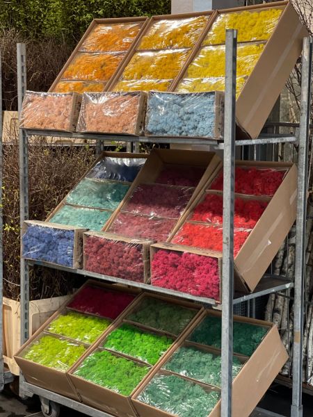 176550966 5123137212593822546 n 418