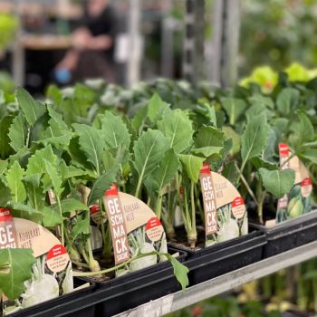 176712318 7982904483868601812 n 419