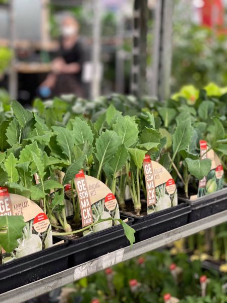 176712318 7982904483868601812 n 419