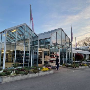 176743119 8580121328387290900 n 420