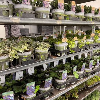 176972882 886798084985763837 n 421