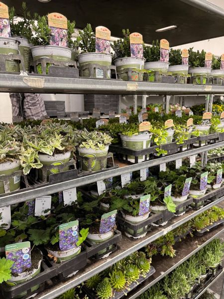 176972882 886798084985763837 n 421