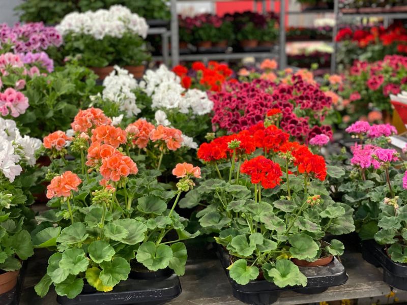 176990685 7902448215816906284 n 422